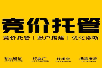 百度竞价广告成功案例：如何实现ROI最大化